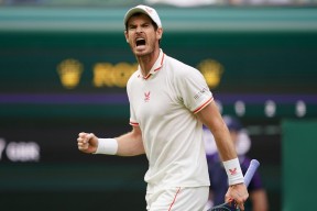 爱游戏体育-包含穆雷迎来十二赛季高光表现，中国队球迷沸腾！的词条